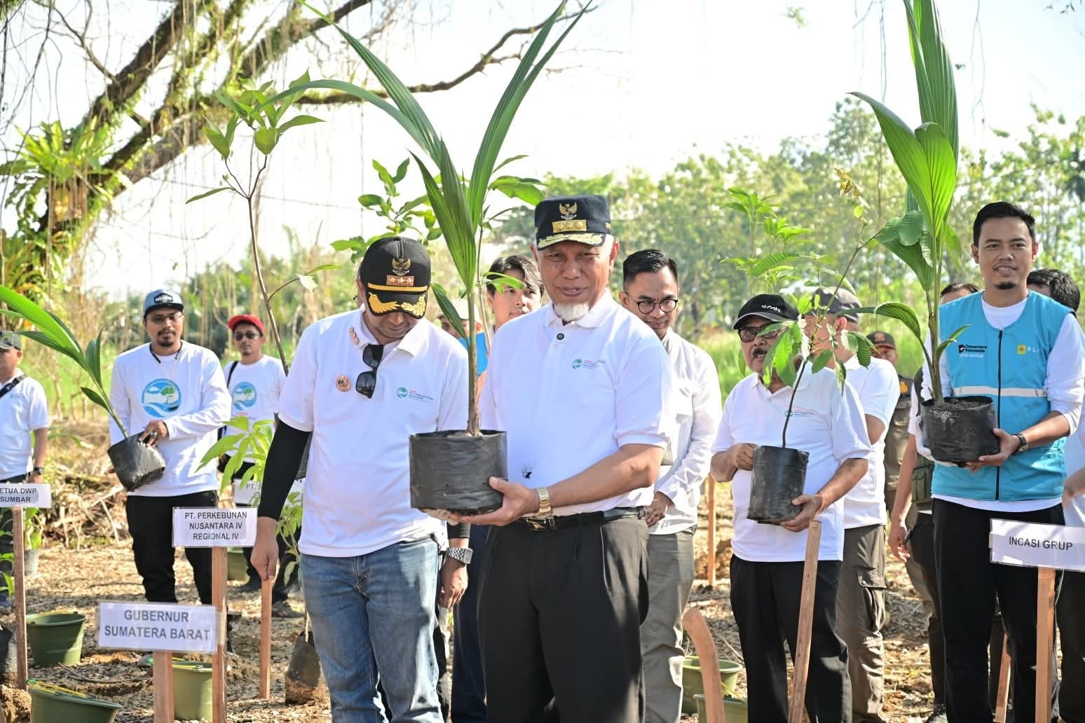 Cegah Kiris Iklim, Penanaman 1000 Bibit Pohon Di Hutan Kota Malvinas